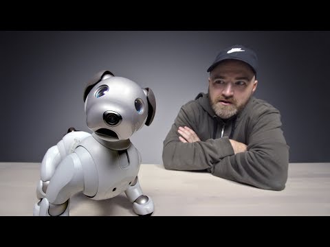 The 00 Sony Aibo Robot Dog