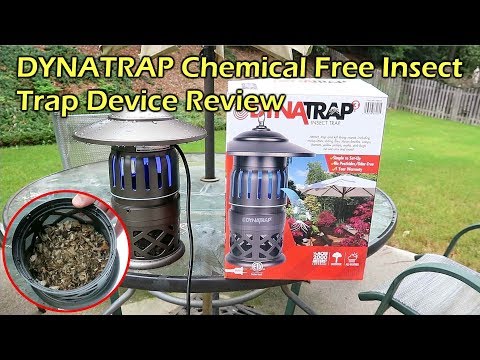 DynaTrap Chemical Free Insect Trap Device Review