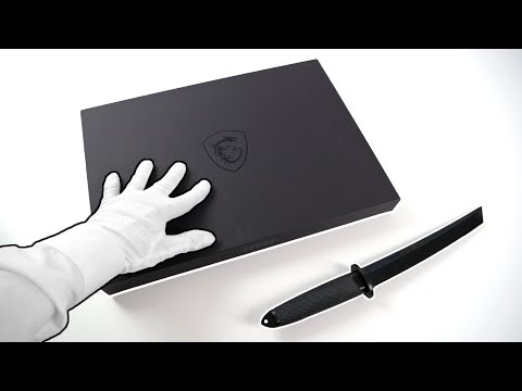 "RTX 2080 Super" Gaming Laptop Unboxing - 300Hz Display! (MSI GS66 Stealth 15,6")